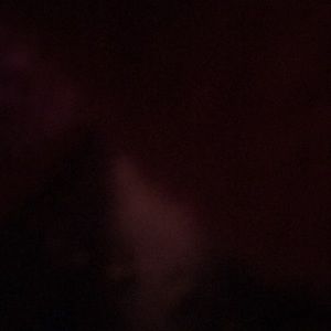 Meet your Posher, Latasha